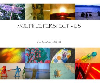 MULTIPLE PERSPECTIVES book cover