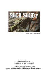 ROCK SOLID? EXPO book cover
