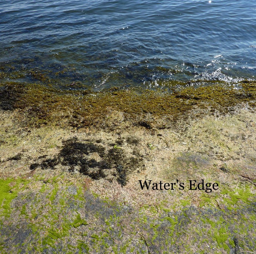 View Water's Edge by Sara Kirschenbaum