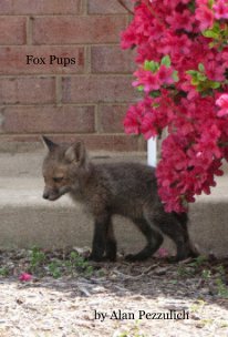 Fox Pups book cover