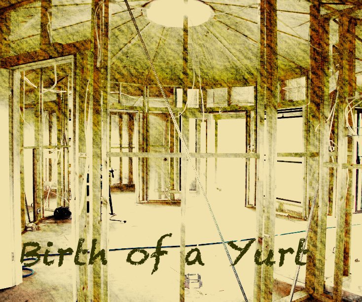 View Birth of a Yurt by Di Greenhaw