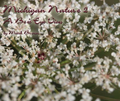 Michigan Nature 2 book cover