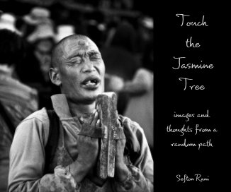 Touch the Jasmine Tree - ebook version. (Not formatted for print) book cover