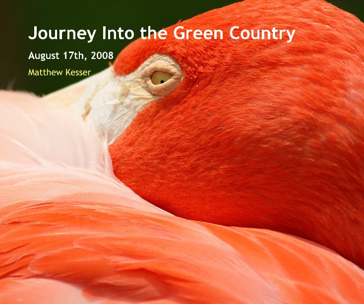 View Journey Into the Green Country by Matthew Kesser