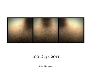 100 Days 2011 book cover