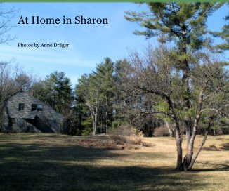 At Home in Sharon book cover