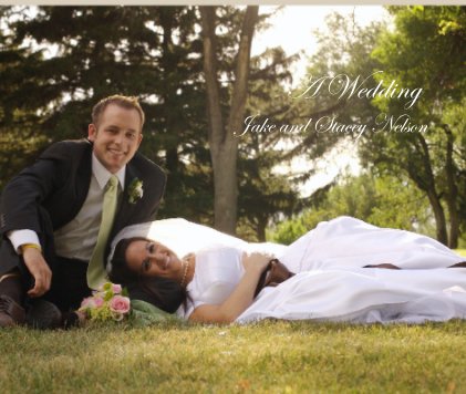A Wedding 
Jake and Stacey Nelson book cover