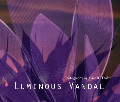 Luminous Vandal book cover