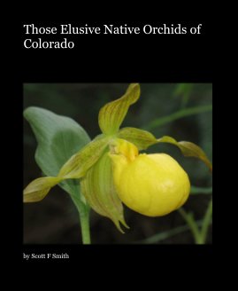 Those Elusive Native Orchids of Colorado book cover