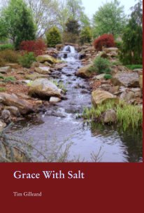 Grace With Salt book cover
