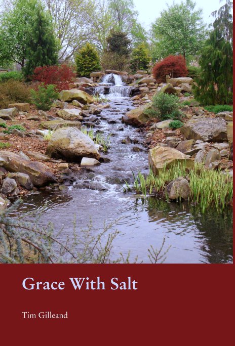 View Grace With Salt by Tim Gilleand