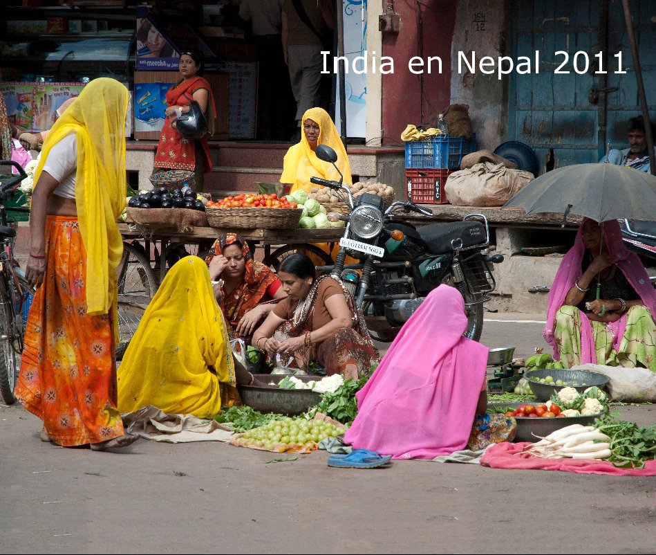 Visualizza India en Nepal 2011 di Marian Vermeeren