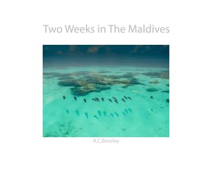 Two Weeks in the Maldives book cover