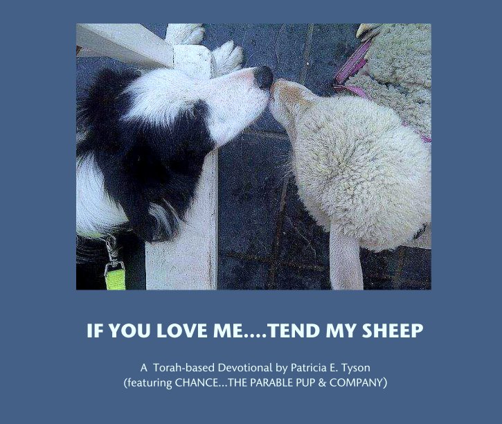 View IF YOU LOVE ME....TEND MY SHEEP by Patricia Tyson