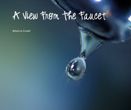 A View From The Faucet book cover