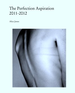 The Perfection Aspiration
2011-2012 book cover