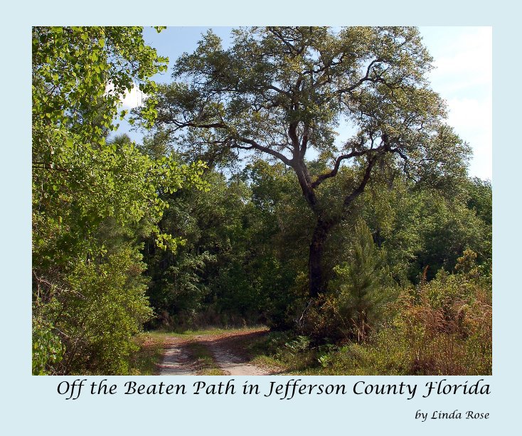 View Off the Beaten Path in Jefferson County Florida by Linda Rose