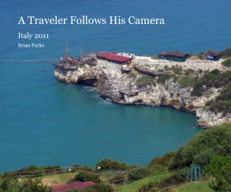 A Traveler Follows His Camera book cover