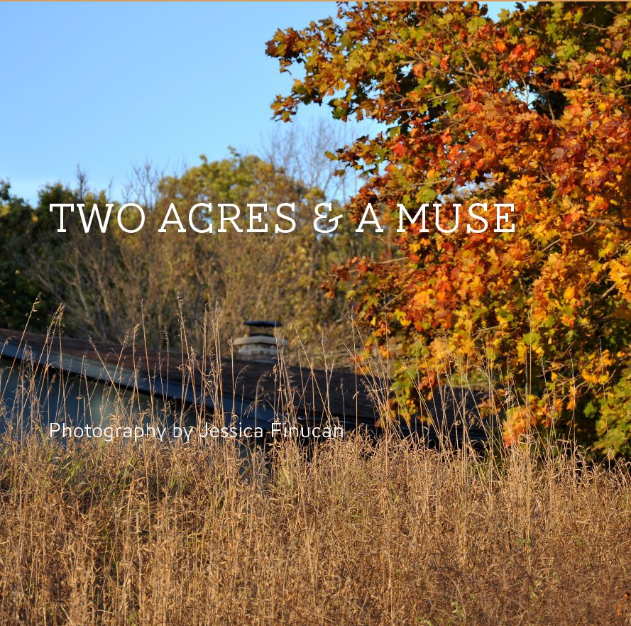 View Two Acres & A Muse by Photography by Jessica Finucan