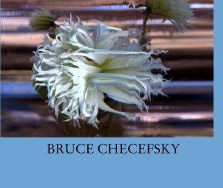 BRUCE CHECEFSKY book cover
