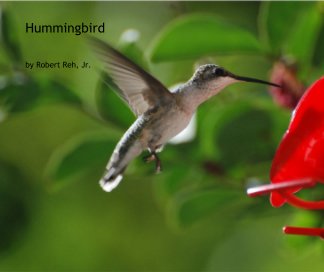 Hummingbird book cover