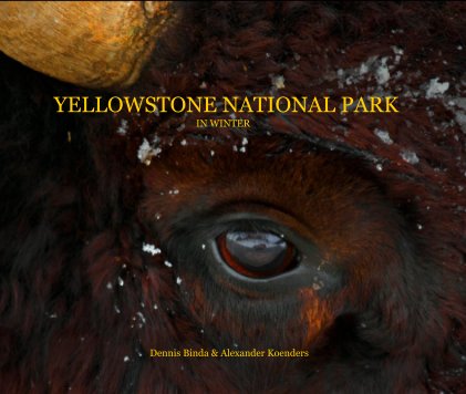 YELLOWSTONE NATIONAL PARK IN WINTER book cover