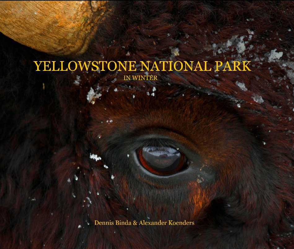 View YELLOWSTONE NATIONAL PARK IN WINTER by Dennis Binda & Alexander Koenders