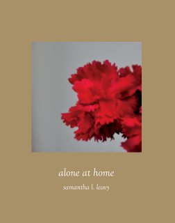 Alone at Home book cover