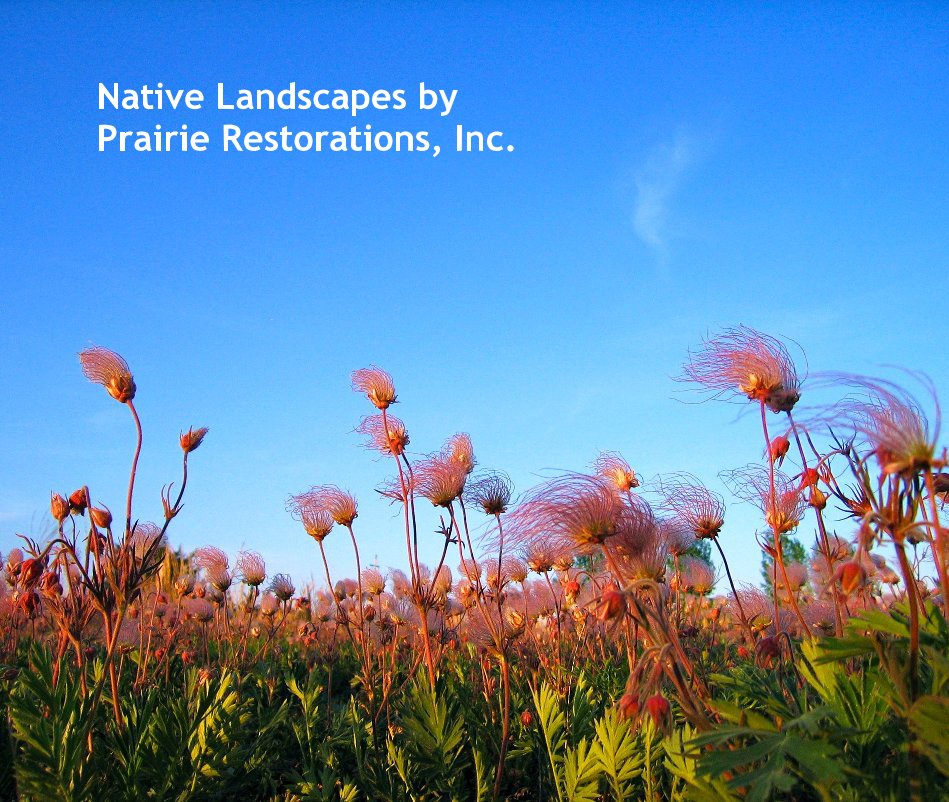 View Native Landscapes by Prairie Restorations, Inc. by Prairie Restorations, Inc.