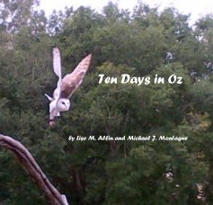Ten Days in Oz book cover
