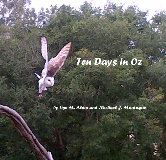 View Ten Days in Oz by Lise M. Allin and Michael J. Montague