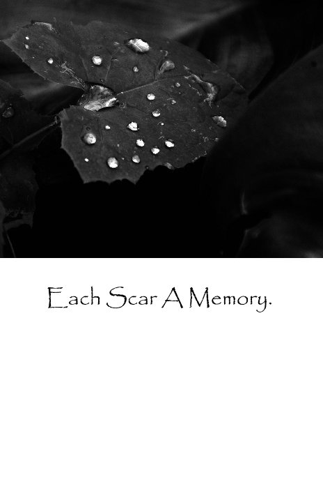 View Each Scar A Memory. by K. Payne