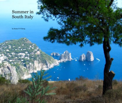Summer in South Italy book cover