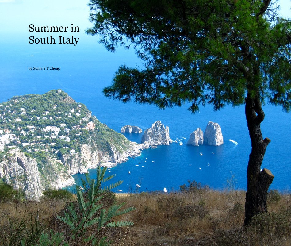 View Summer in South Italy by Sonia Y F Cheng