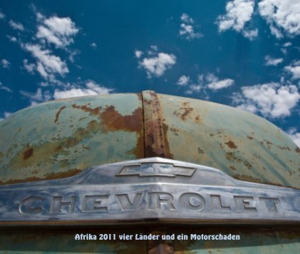 Afrika 2011 vier Länder und ein Motorschaden book cover