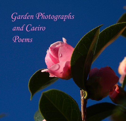 View Garden Photographs and Caeiro Poems by Luciana Franzolin
