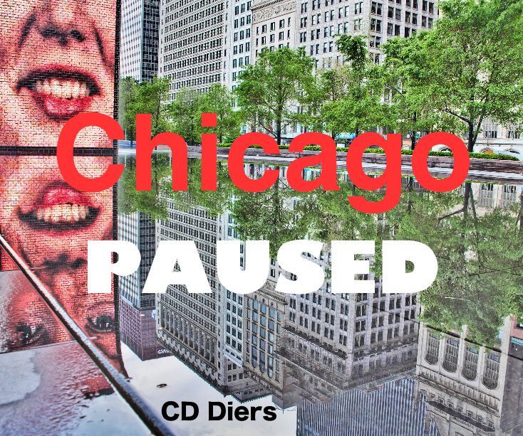 View Chicago by CD Diers