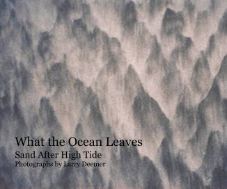 What the Ocean Leaves book cover