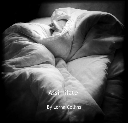 View Assimilate by Lorna Collins