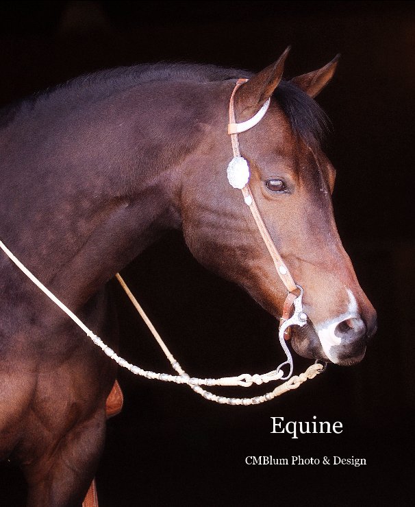 Ver Equine por CMBlum Photo & Design