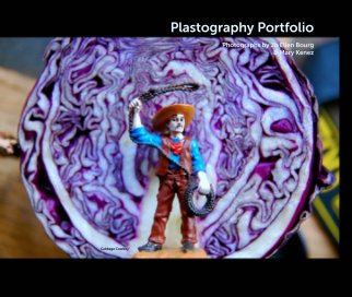 Plastography Portfolio

Photographs by Jo Ellen Bourg 
& Mary Kenez book cover