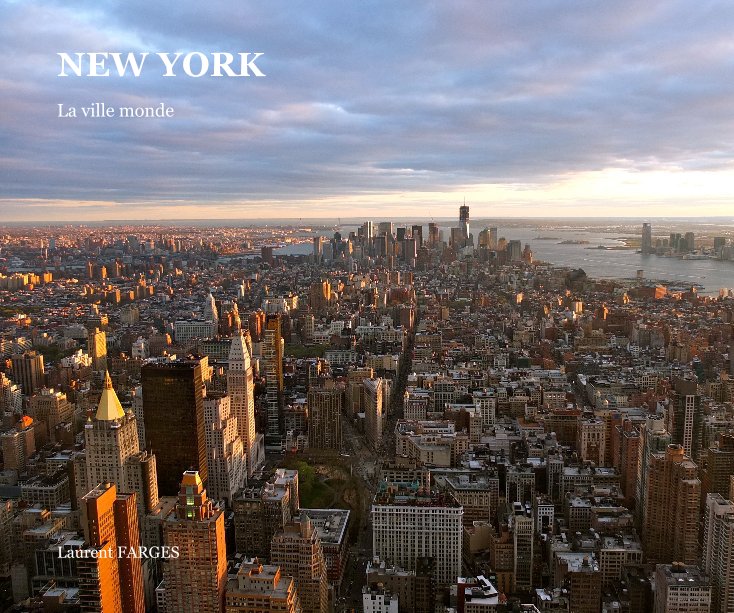 Ver NEW YORK por Laurent FARGES