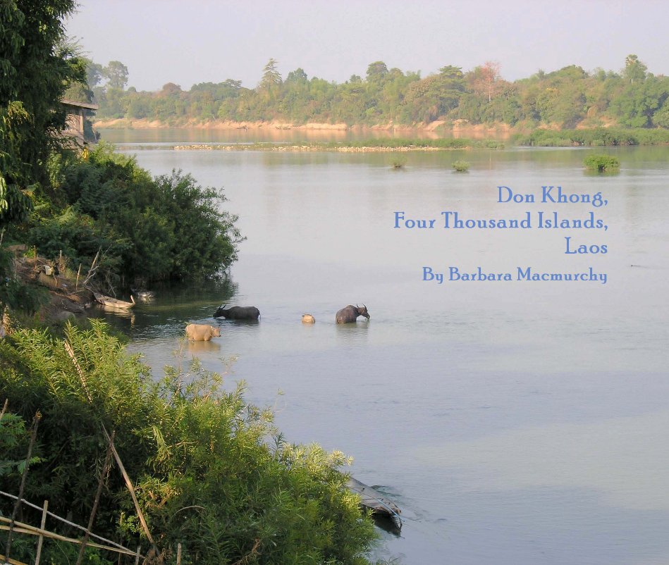 Ver Don Khong, Four Thousand Islands, Laos por Barbara Macmurchy
