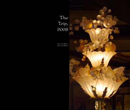 The Trip, 2008 book cover