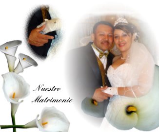 Nuestro Matrimonio book cover