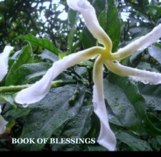 Book Of Blessings / Softcover book cover