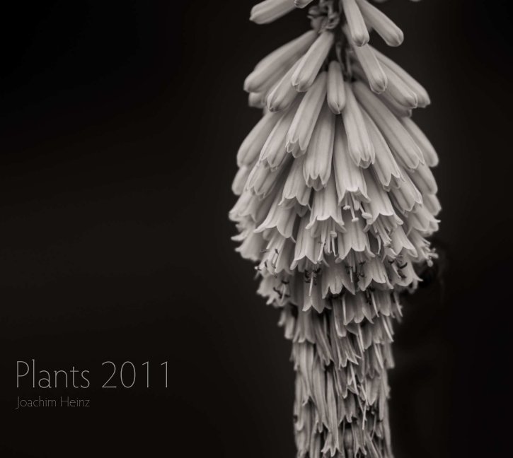 View Plants  2011 by Joachim Heinz