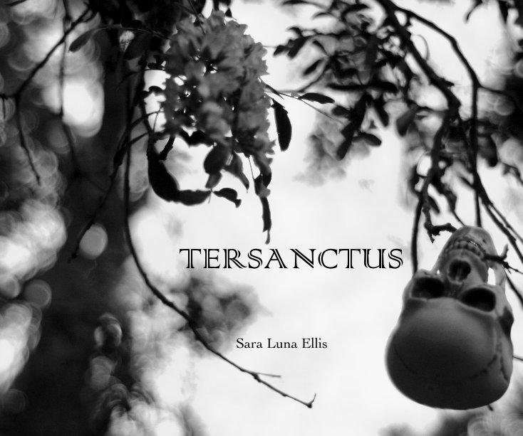 View TERSANCTUS by Sara Luna Ellis