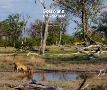 Botswana The wild side book cover