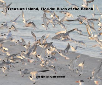 Treasure Island, Florida: Birds of the Beach 2012 book cover